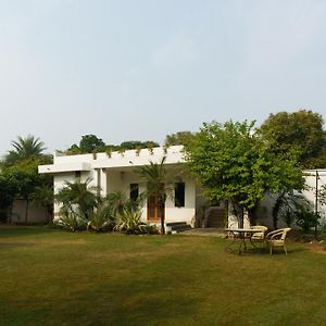 Luxury Villa With Swimming Pool Dzsaipur Exterior photo