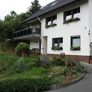 Auf Dem Kleeberg Apartman Niederzissen Exterior photo