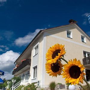 Landgasthof Am Sonnenhang Vohenstrauss Exterior photo