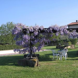 Agriturismo Villani Poderi Nesti & Cupoli Lastra a Signa Exterior photo