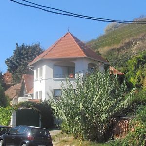 Magda Vendégház Hotel Tokaj Exterior photo