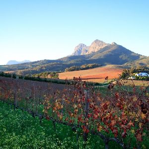 Marianne Wine Estate Panzió Stellenbosch Exterior photo