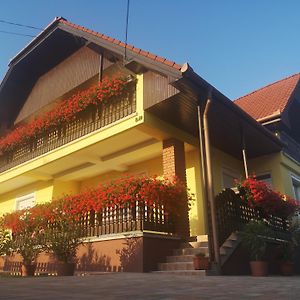 Zsuzsi Vendégház Hotel Zalaegerszeg Exterior photo