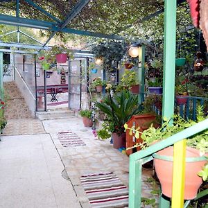 بيت الطبيعة Nature House Apartman Dzseras Exterior photo