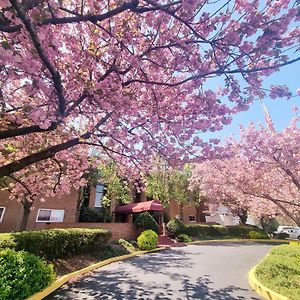 Amazing, Large, Parking, Long Term Apartman Elkins Park Exterior photo