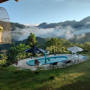 Chacara Domingos Martins - Santo Graal - Montanhas, Corredeiras, Piscina, Natureza E Paz Exterior photo