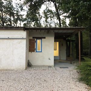 Gite De La Fontaine Bondree Vernou-sur-Brenne Exterior photo