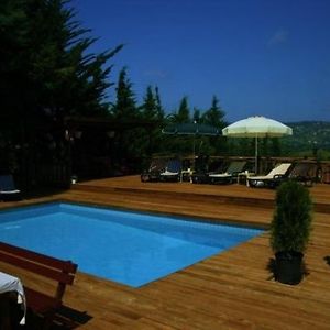 Villa Pine Garden Ağva Exterior photo