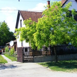 Éva Vendégház Hotel Abádszalók Exterior photo