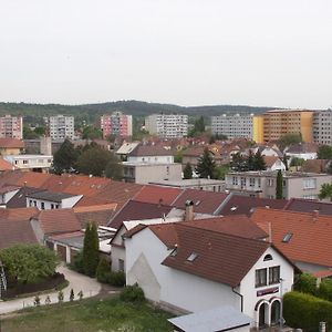 Hotel Terek Štětí Exterior photo