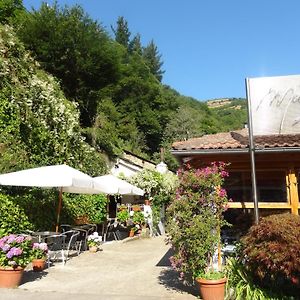 Hotel Restaurante Marroncin Cangas del Narcea Exterior photo