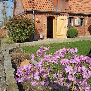 Ferienhaus Voern-Diek Apartman Hohnstorf Exterior photo