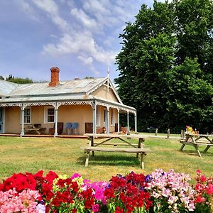 Peter'S Farm Lodge Waipiata Exterior photo