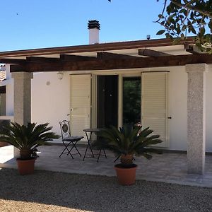 B&B Bell'Alba Santa Teresa Gallura Exterior photo