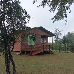 Cabanas Y Agroturismo Ranchojyc Apartman Teodoro Schmidt Exterior photo