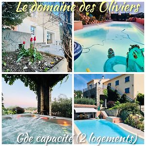 Le Domaine Des Oliviers Ales Piscine Jacuzzi Sauna Apartman Exterior photo