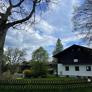 Villa Maruska Kladska Mariánské Lázně Exterior photo