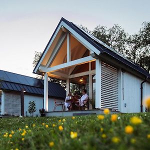 Tiny House - Optioneel Met Hottub Apartman Dokkum Room photo