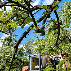 Elysian Fields - The Island Tiny House Panzió Cód Exterior photo