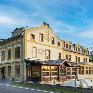 Hotel Praded Thamm Zlaté Hory Exterior photo