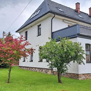 Ferienwohnungen Reiterhof Lienemann Grünbach Exterior photo