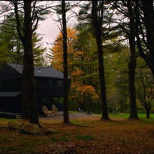 Modern Cabin With View Firepit Hikes By Summer Claryville Exterior photo