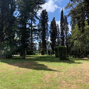 Un'Oasi Nel Verde A Pochi Chilometri Dalla Citta Róma Exterior photo