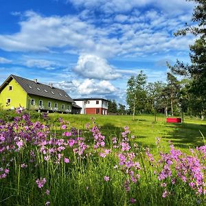 Penzion Kozí zámek Apartman Horažďovice Exterior photo