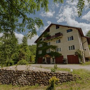 Pensiunea La Maison Verte Vasaskőfalva Exterior photo