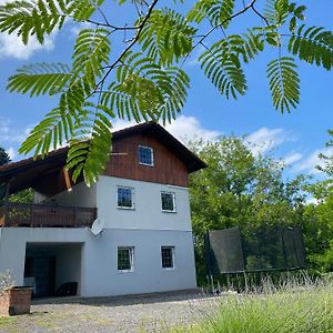 Ginkgo House Hotel Kehidakustány Exterior photo