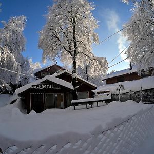 Los Nirres Hostal De Montana Las Trancas Exterior photo