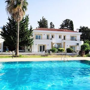 Tropical Cyprus Villa With Swimming Pool Kerínia Exterior photo