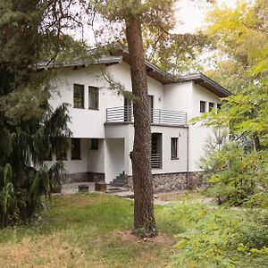 Big Villa Konstancin With Bilard Pool Exterior photo