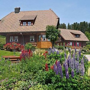 Kienberg - Landhaus Anja Villa Freudenstadt Exterior photo