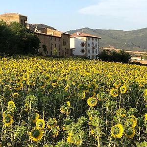 Migueltxoenea Villa Lacar Exterior photo