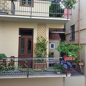 La Terrazzina, Silenzioso, Zona Piazza Gran Madre Apartman Torino Exterior photo