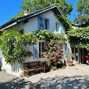 Haus Im Grunen An Der Aare Bern Exterior photo