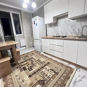 1 Comnatnaya Quartira Jk Nurly Dala Apartman Terekty Exterior photo