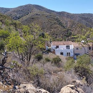 Cortijo tranquilo, Albanchez, Almeria Province Exterior photo