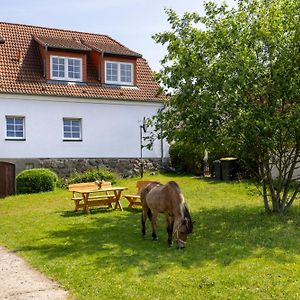 Ferienwohnung "Flori'S Ponyhof" Kröpelin Exterior photo