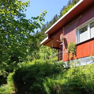 Ferienhaus Waldluftin Villa Lauscha Exterior photo