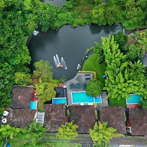 Athirapally Green Trees Athirapalli Exterior photo