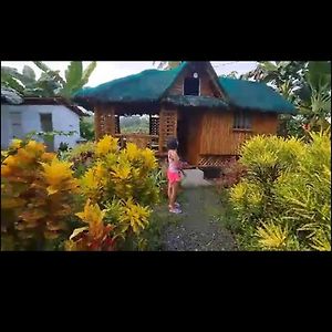 Michelle Hut Hotel Moalboal Exterior photo