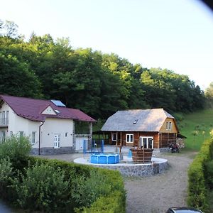 La Cretu Villa Rozávlya Exterior photo