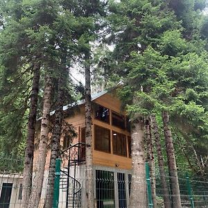 Allone In The Forest Მარტო Ტყეში Glola Exterior photo