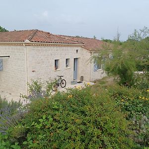 Villa De Vacances Quercy Perigord Saint-Paul-de-Loubressac Exterior photo