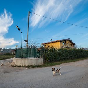 Roberta House Panzió Isernia Exterior photo