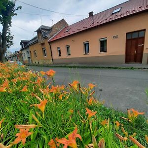 Kis Rigó vendégház Hotel Salgótarján Exterior photo