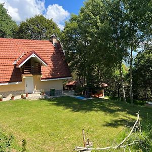 Mountain Vila In Ponikva Villa Kocsani Exterior photo