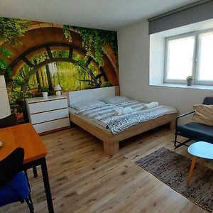 Utulna Garsonka Apartman Týn nad Vltavou Exterior photo